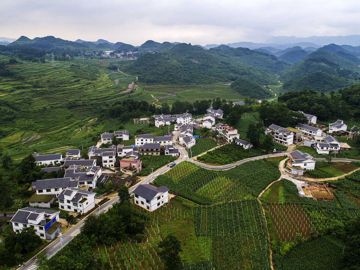 贵州技校2021排行榜用发散