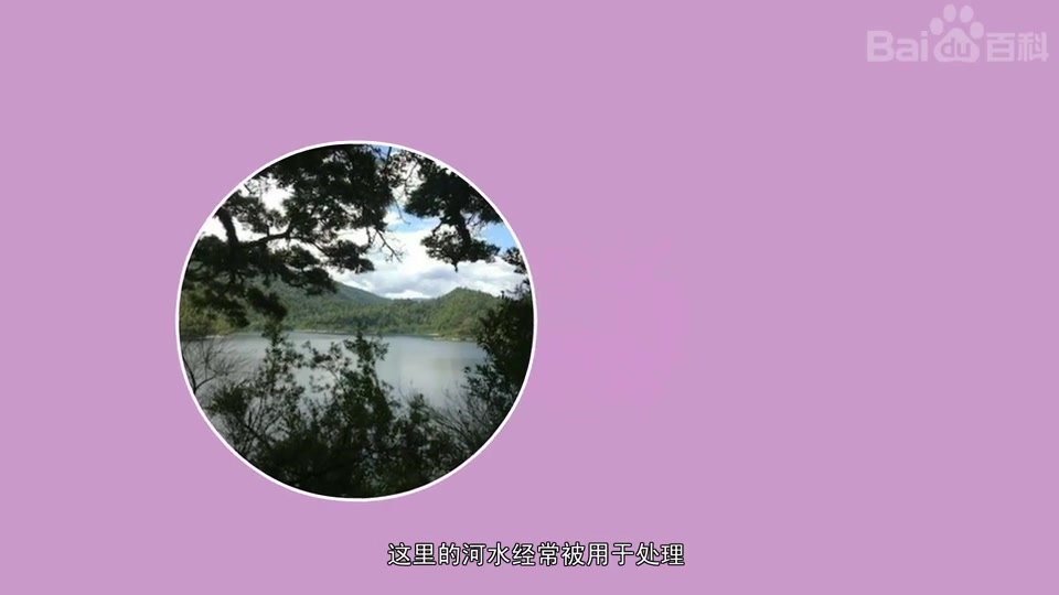 快速了解坦克鸭嘴鱼