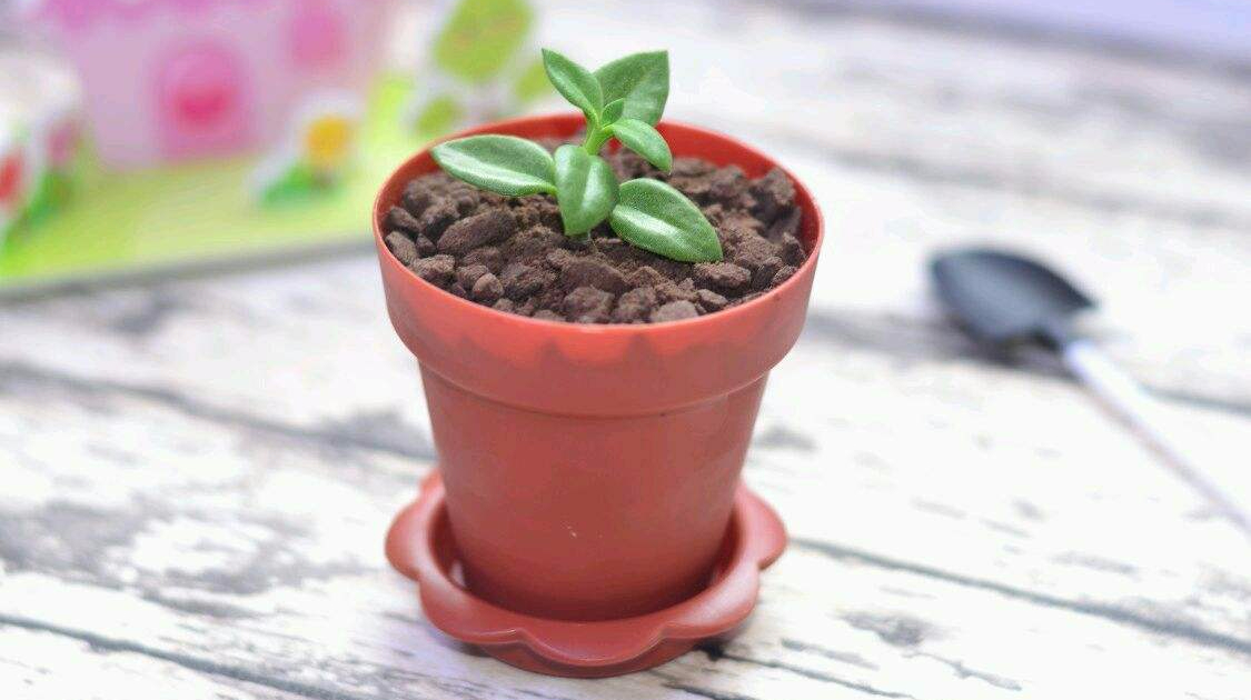 像“土”一样的盆栽蛋糕,制作方法简单易学只需要3分钟,快收藏