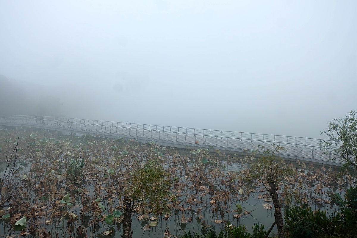 凯美瑞安全性能评测：五星评级，安全配置丰富