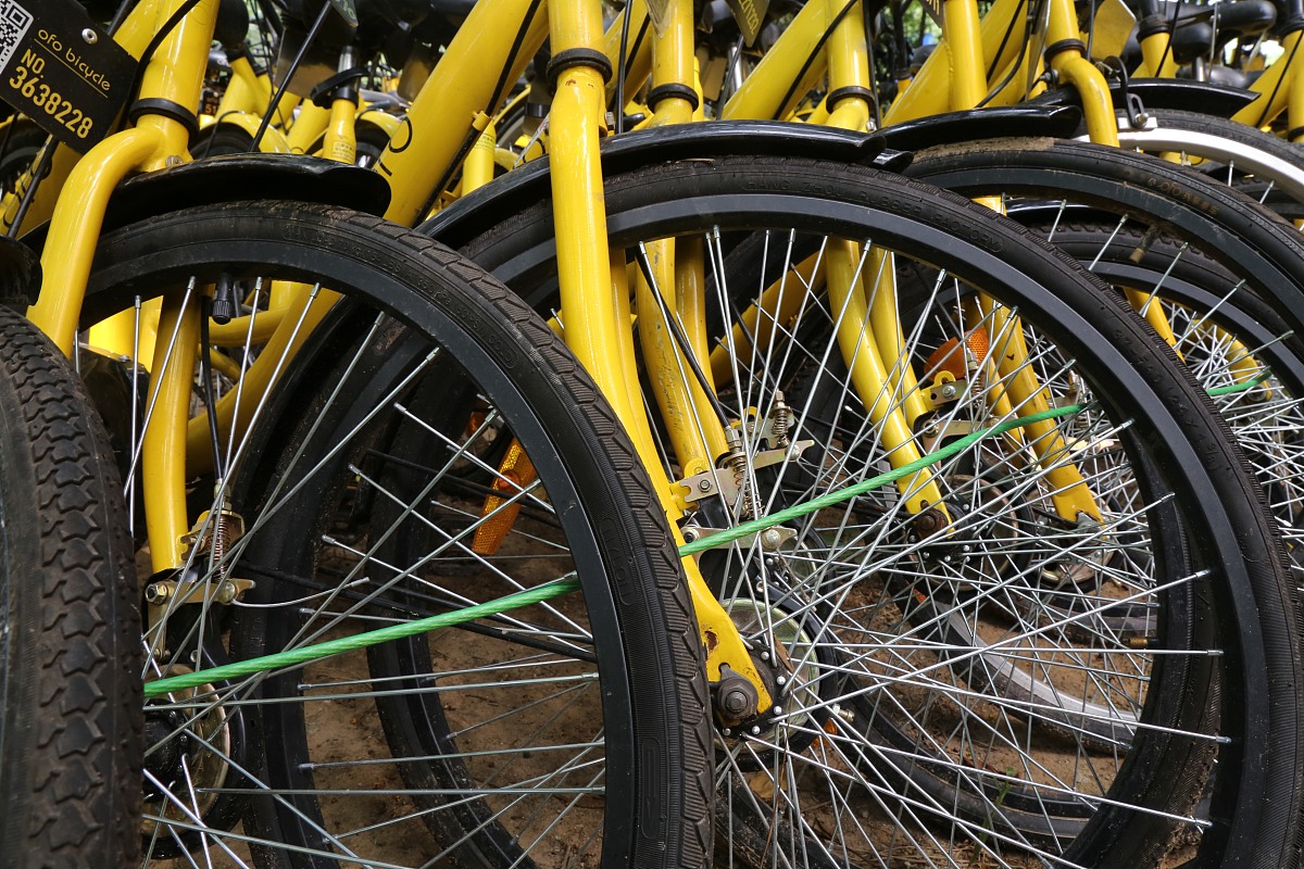 空军少年航空学校招生标准：入学条件详解