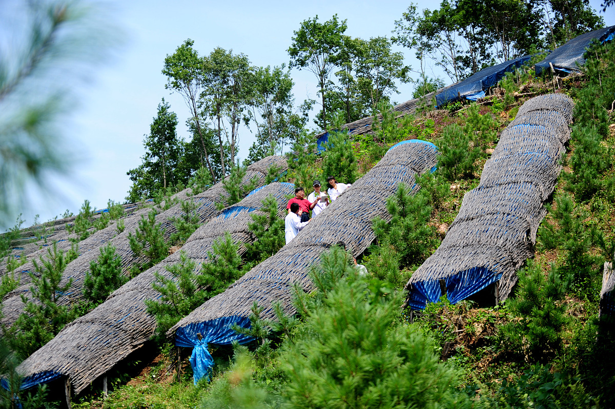 暑假实践：大学生毕业档案电脑录入工作体会