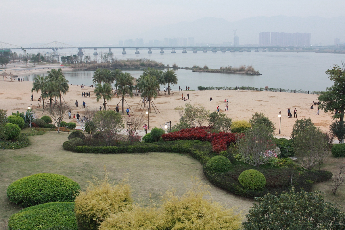 福建农林大学会计学专业怎么样？深度解析其优势与劣势