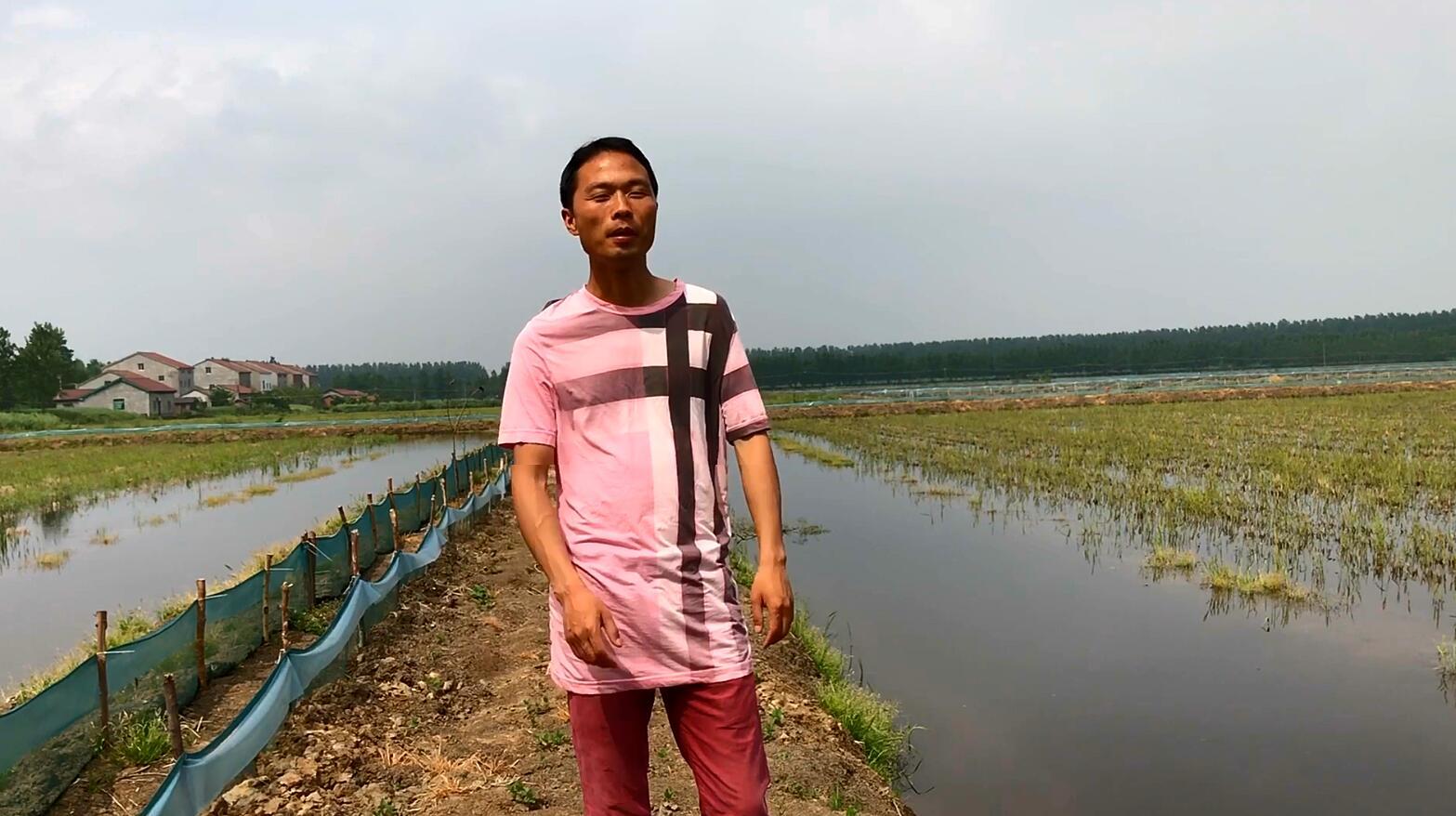 养殖小龙虾技术问答,小龙虾爬边如何处理