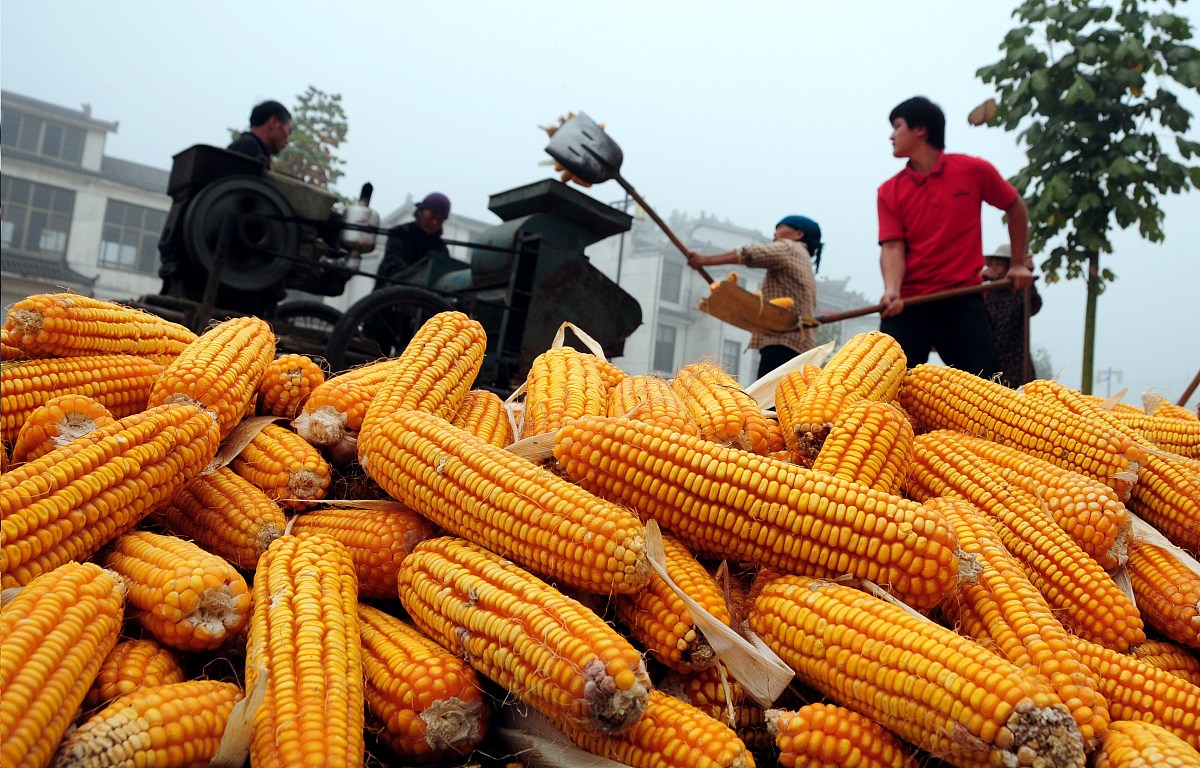粮农组织气候变化援助项目：帮助落后国家应对挑战