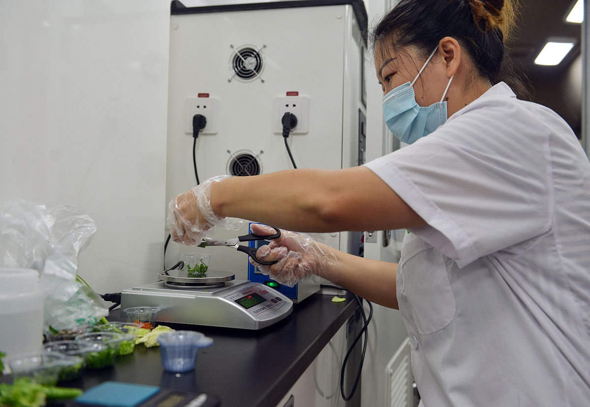 农药残留和苯并芘检测与降解技术研究现状