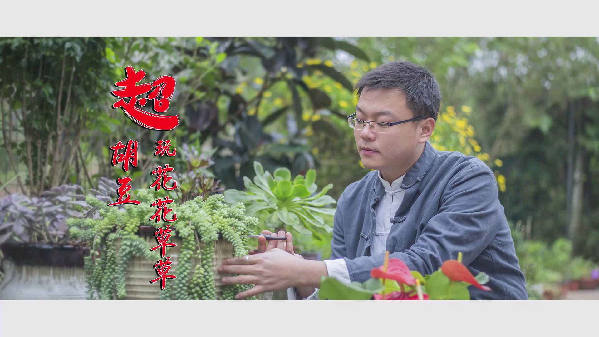 玉露这样叶插,百合科多肉其他品种也可以这么做