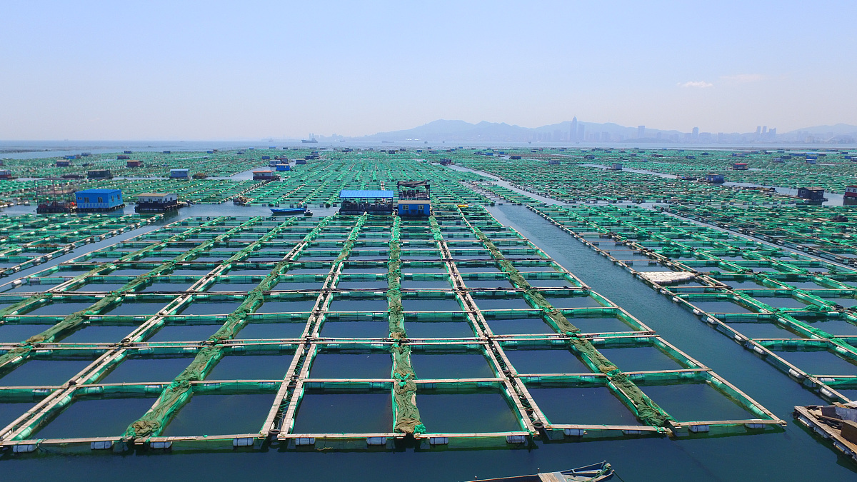 烟台职业学院道路桥梁工程技术专业好就业吗