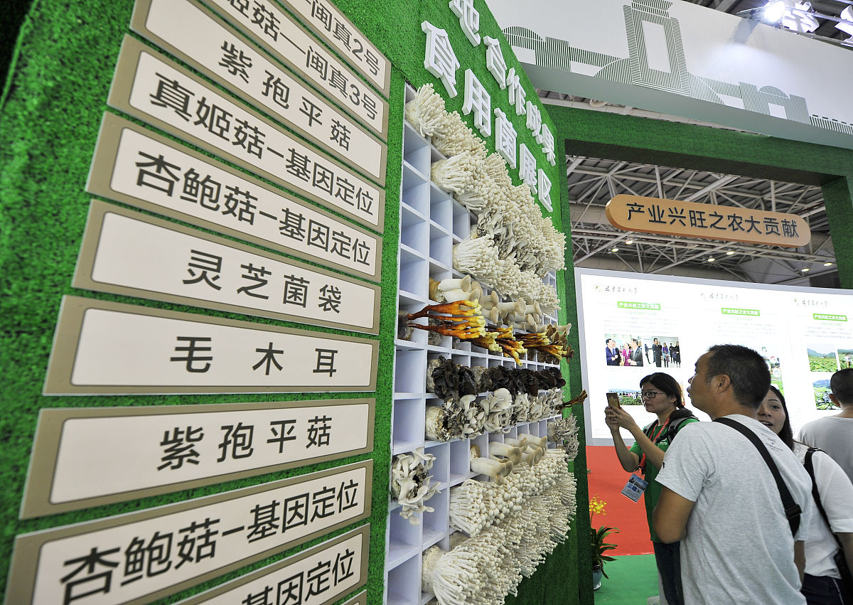福建农业职业技术学院动漫制作技术专业就业前景及提升竞争力