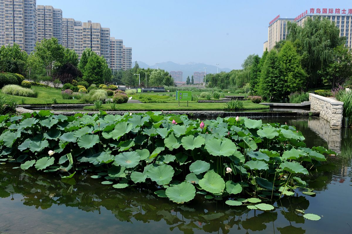 河湖长制上下游联防联控：实现水资源协调管理和生态保护