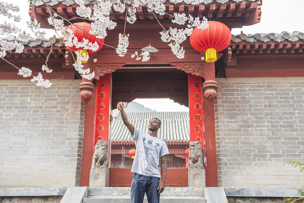 2019年3月28日下午,河南登封嵩山少林寺院内,几株樱花相继开放,煞是好