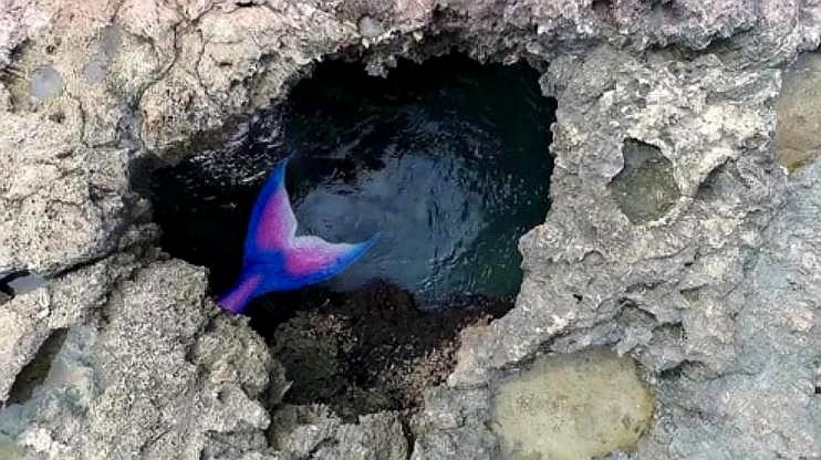 夏威夷美人鱼洞真的有美人鱼吗?小伙一探究竟,结果傻眼了!