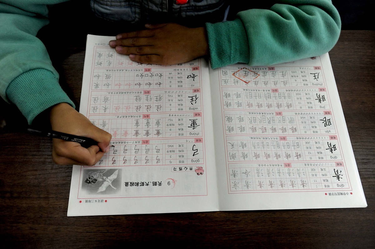 小学几年级开始用钢笔？详细解析