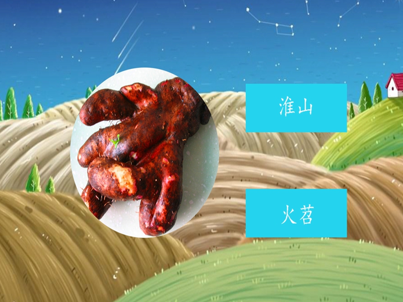 脚板苕:别名大薯,红脚板薯,鸡窝薯