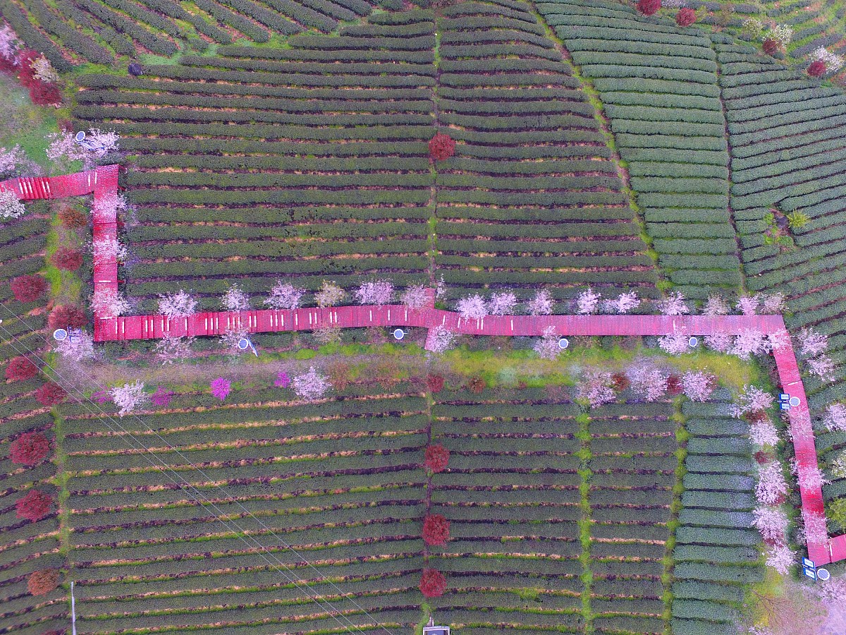 余庆中等职业学校2021年招生简章 - 培养高素质职业人才