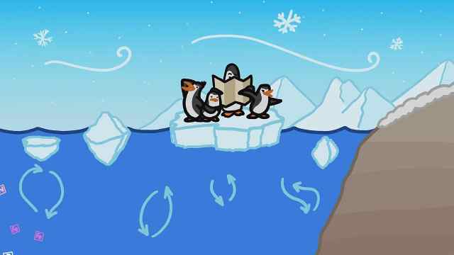 涨知识!赤道附近有企鹅?这到底是为什么?