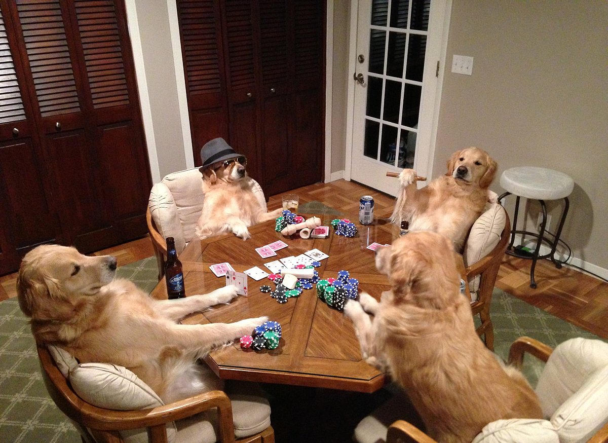 自然数都是正数吗？详细解析自然数的定义和特性