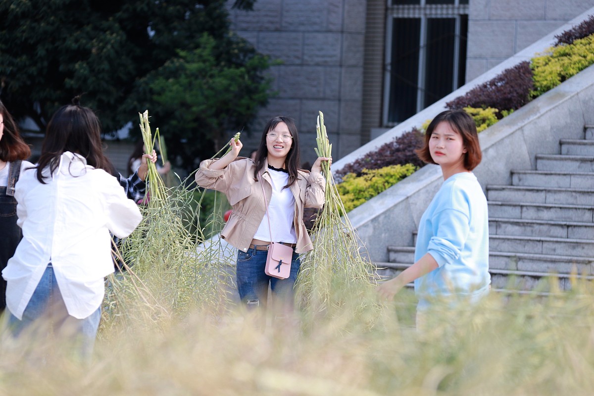 四川大学职业技术学院学前教育专业怎么样好就业吗