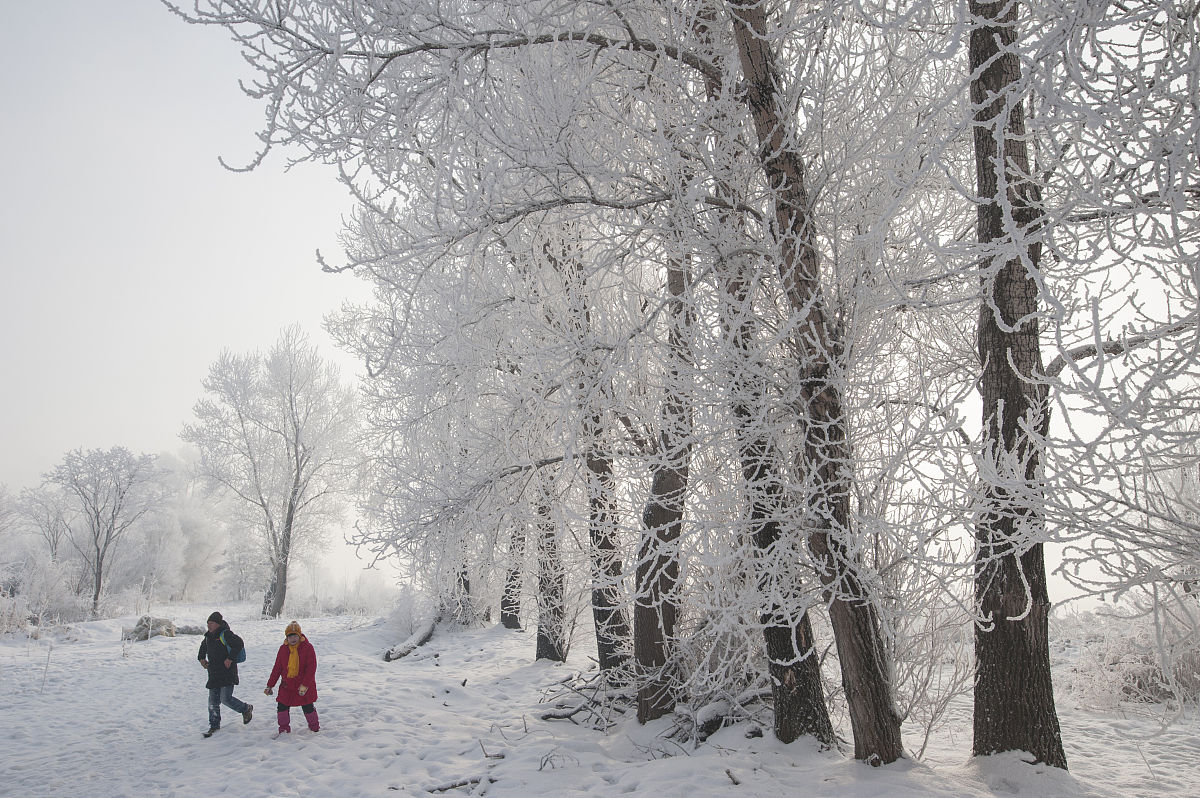 吉林媒体电话：搭建媒体与公众互动桥梁，倾听民声，服务吉林