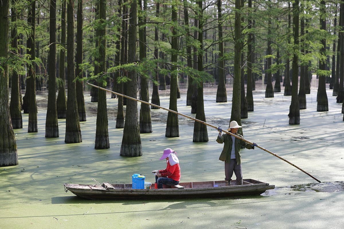 武汉市新洲高级职业中学果蔬花卉生产技术专业怎么样？专业好不好？