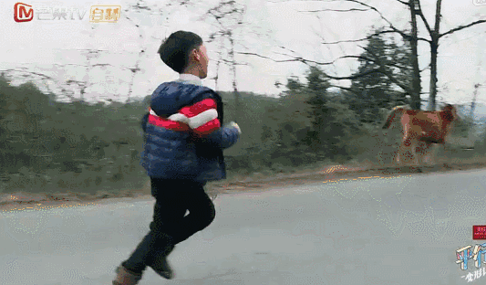 逆轉！言情小說般的家庭去《變形計》，竟是6歲兒子帶父母變形！