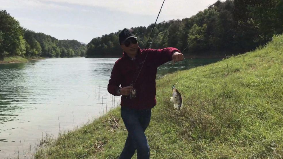 路亚“抽停钓法”教学:野钓桂鱼,学会即可连杆爆钓野生桂鱼