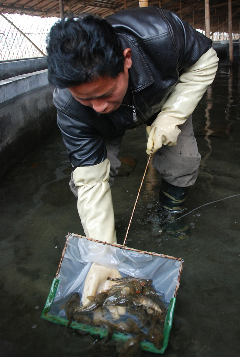 水产养殖专业制作标本 有偿求助
