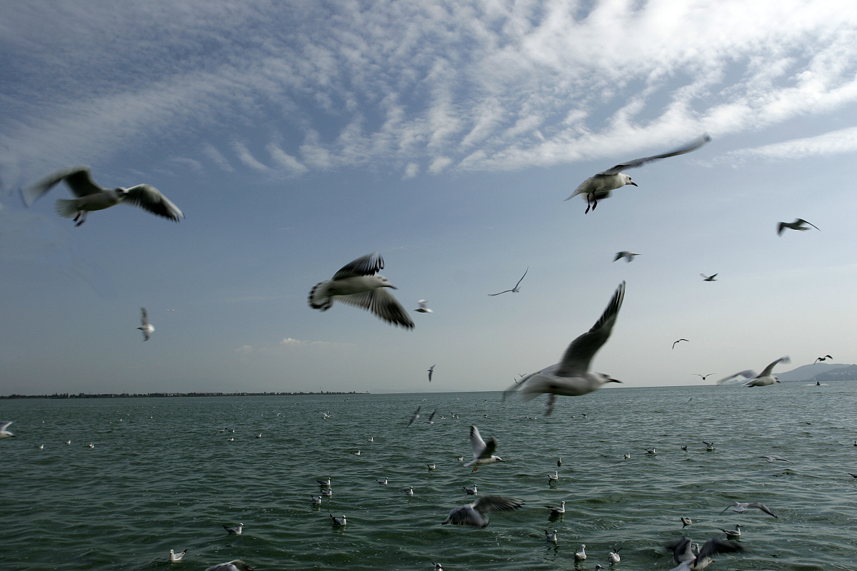 昆明2022年就业形势最好的卫校有哪些？