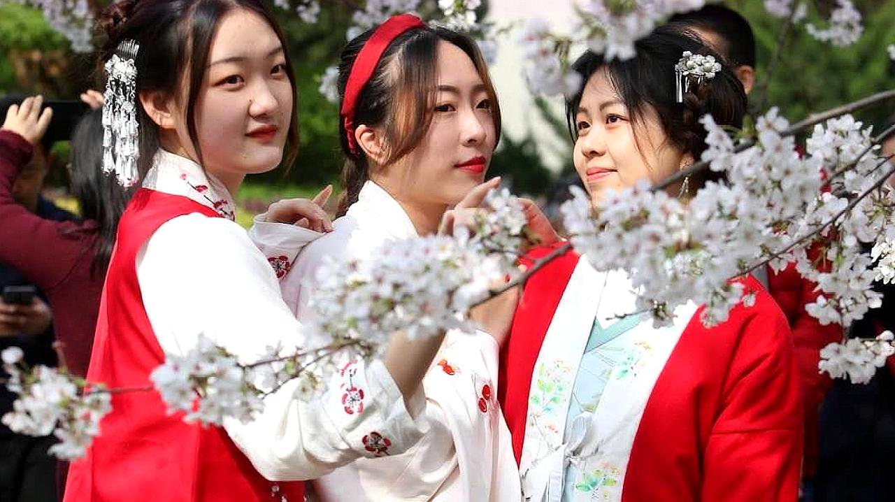 [图]武汉大学生穿“汉服”,站在樱花树下赏花,网友:太美了!