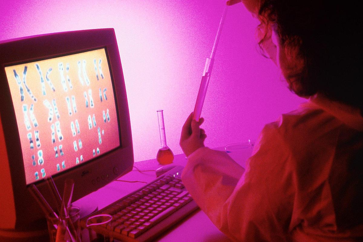 苹果14pro+max的开发者模式在哪里找？