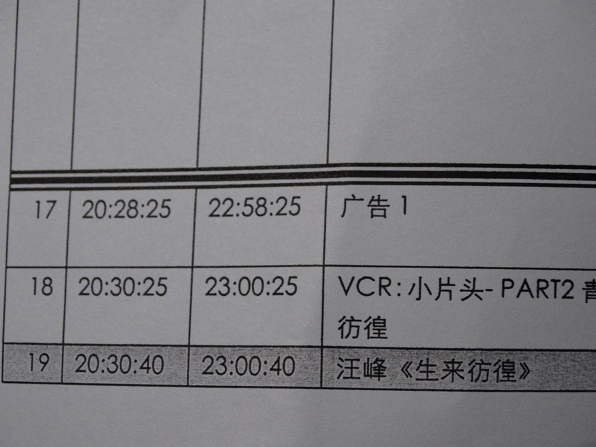 Q20 vs Q16: 定点数格式分辨率对比及应用场景分析