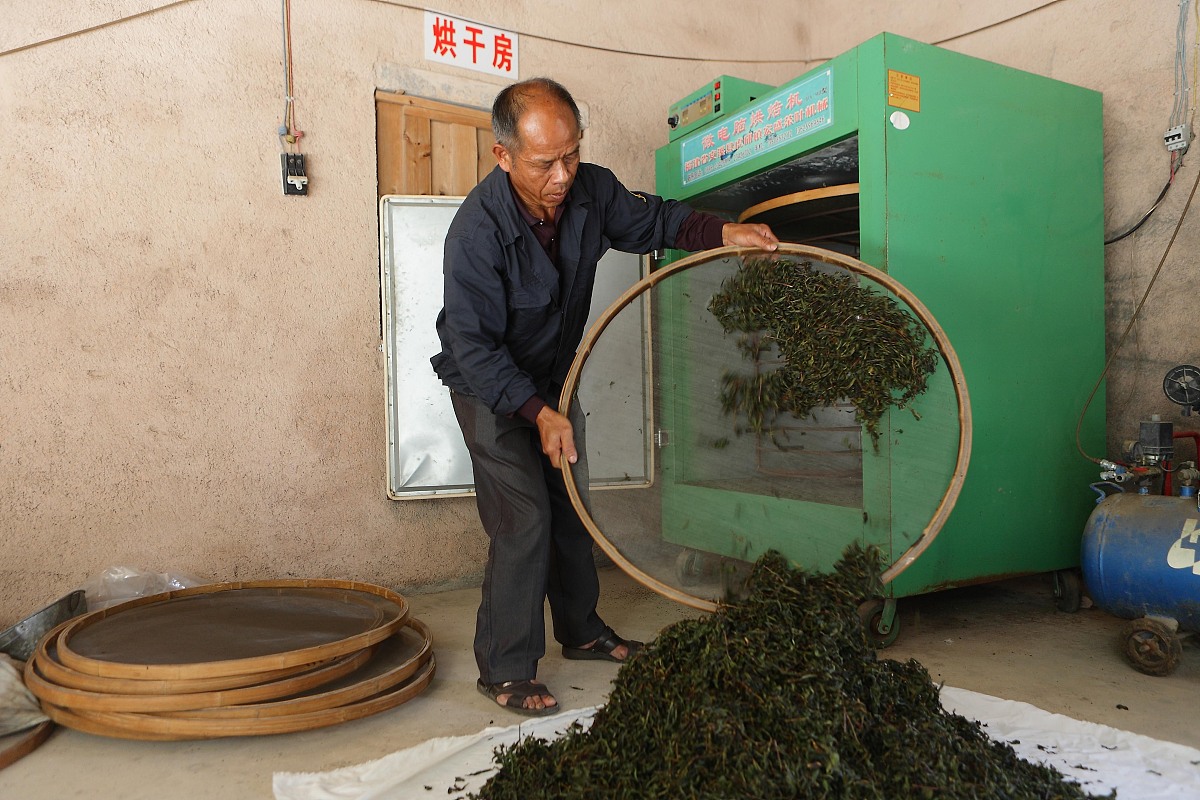 ***_***2013年10月12日,上海,福建传统乌龙茶制作方法