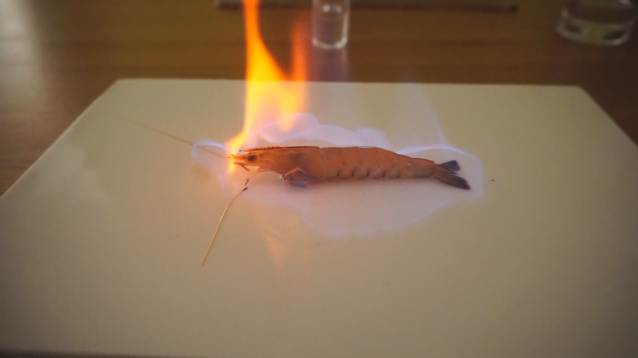 广西名菜火焰醉虾既然是这个味道!