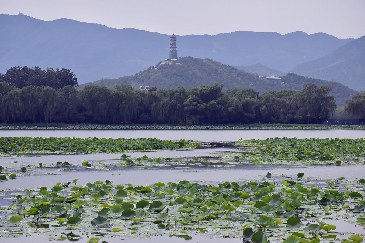 昆明卫生学校地址 - 昆明市五华区北京路56号