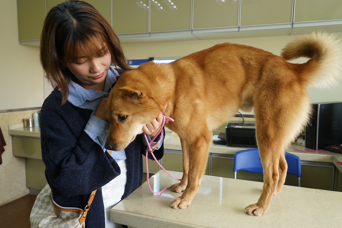 正常来说给乙肝患者打干扰素进行治疗需要花多少钱