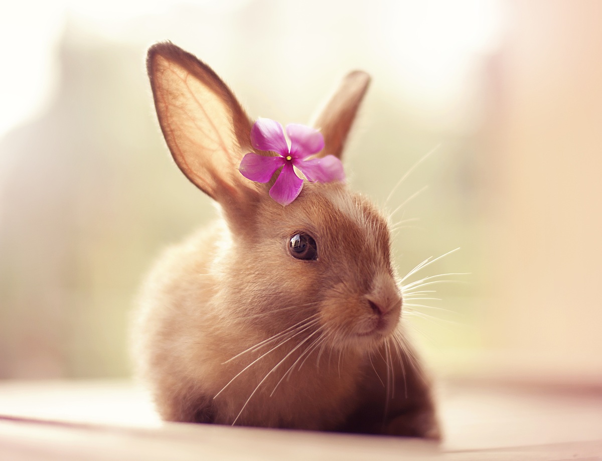 摄影：记录生活，表达自我