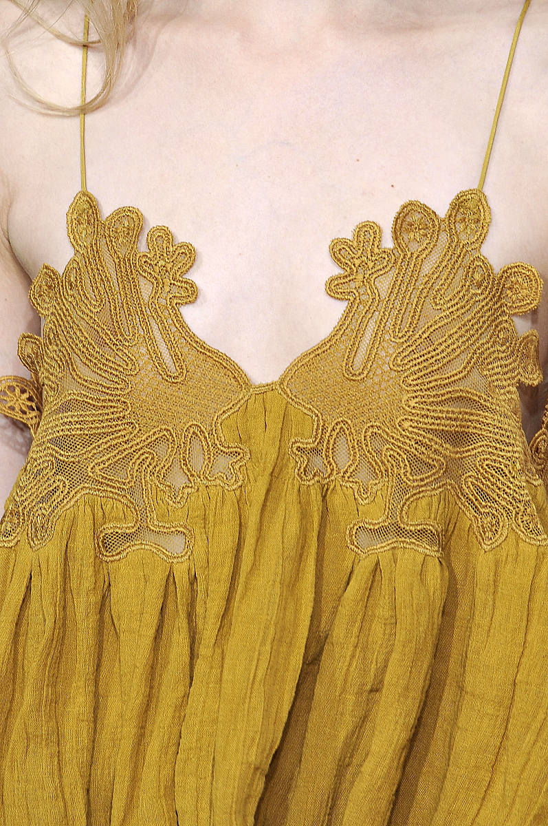 31种植物的英文翻译 - 中文植物学名与英文名对照