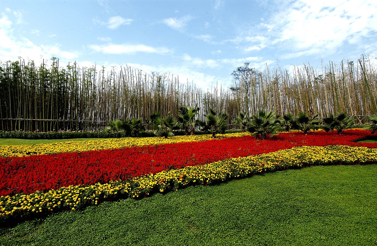 四川城市技师学院怎么样？学历层次、教学质量及未来发展