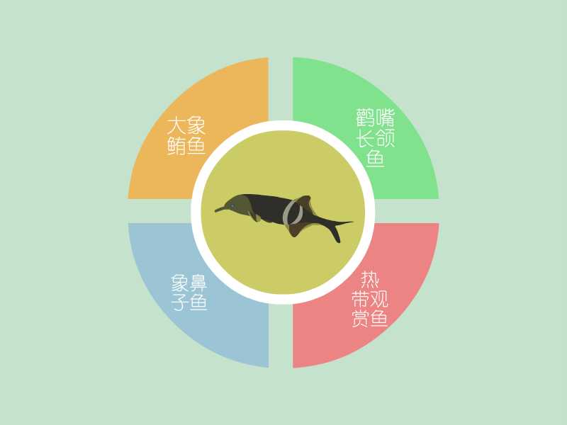 象鼻鱼:又名鹳嘴长颌鱼,象鼻子鱼,是一种热带观赏鱼