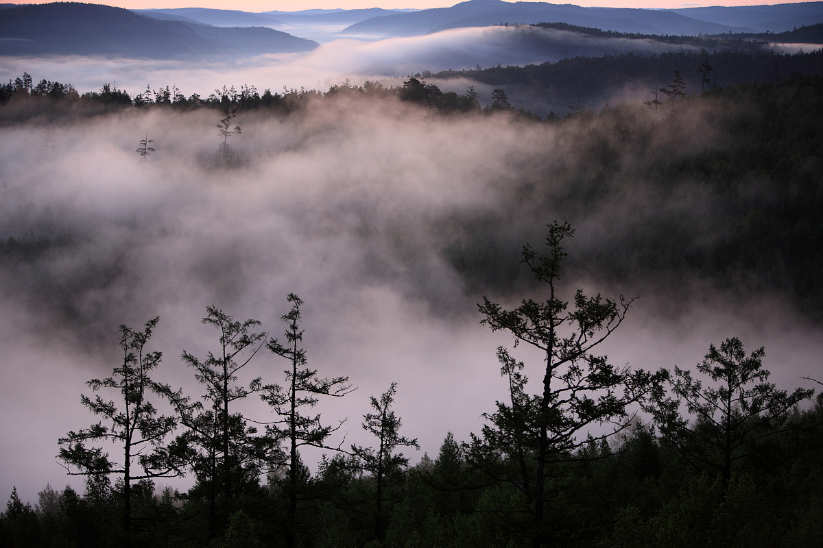 论述重庆市森林资源保护过程中森林资源保护技术落后的问题不得少于800字。