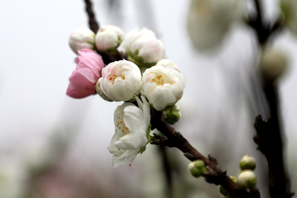 湖南外国语职业学院旅游英语专业怎么样