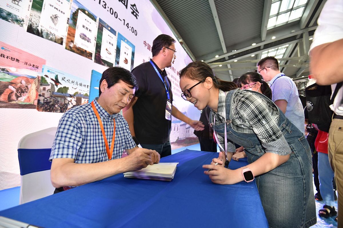 对草房子的桑桑写书信