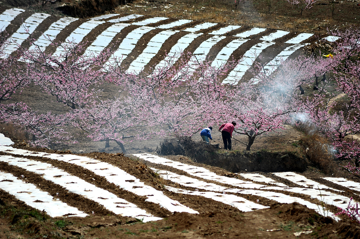 劳动赋予生活精彩：我的成长故事