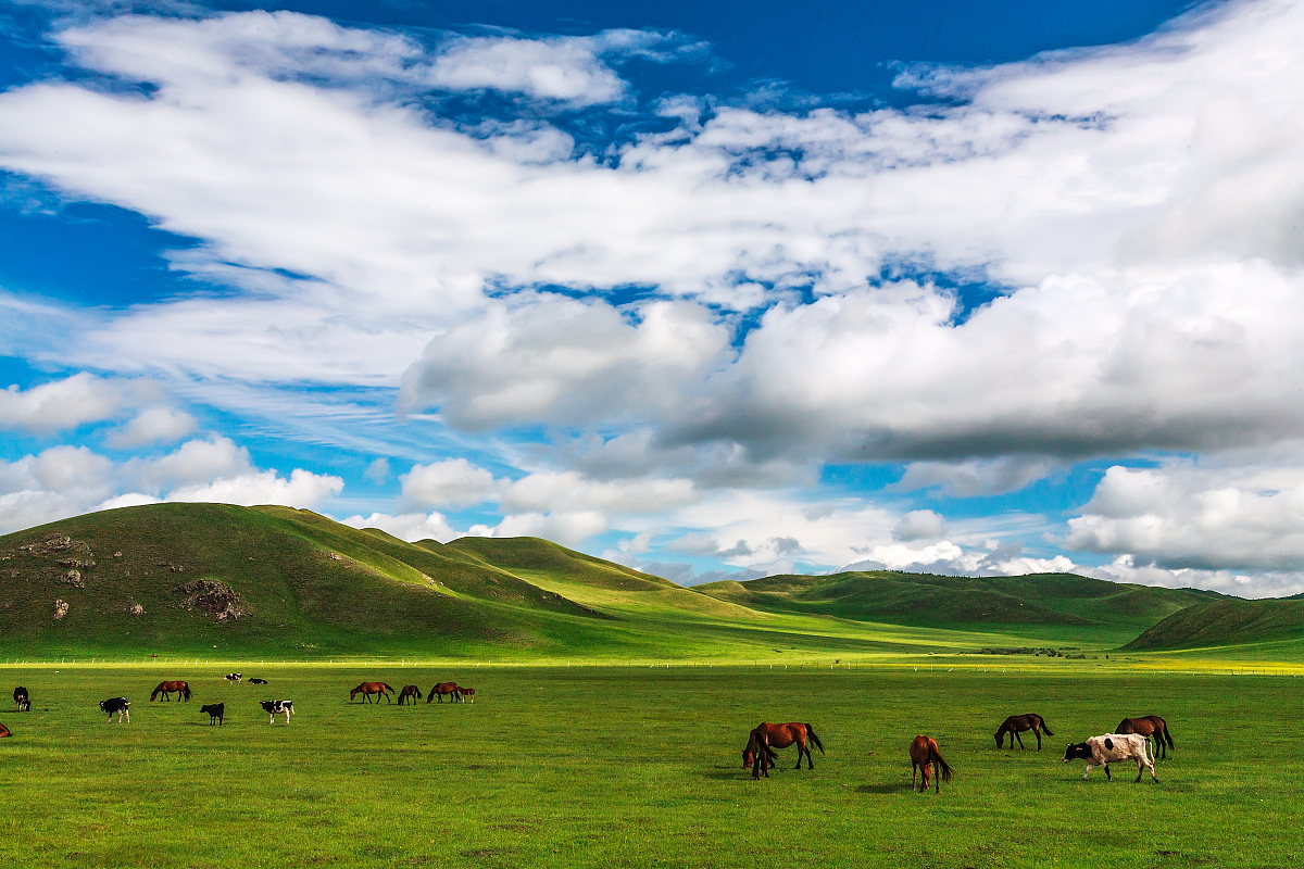 11:11 分的意义：希望、力量、爱与守护