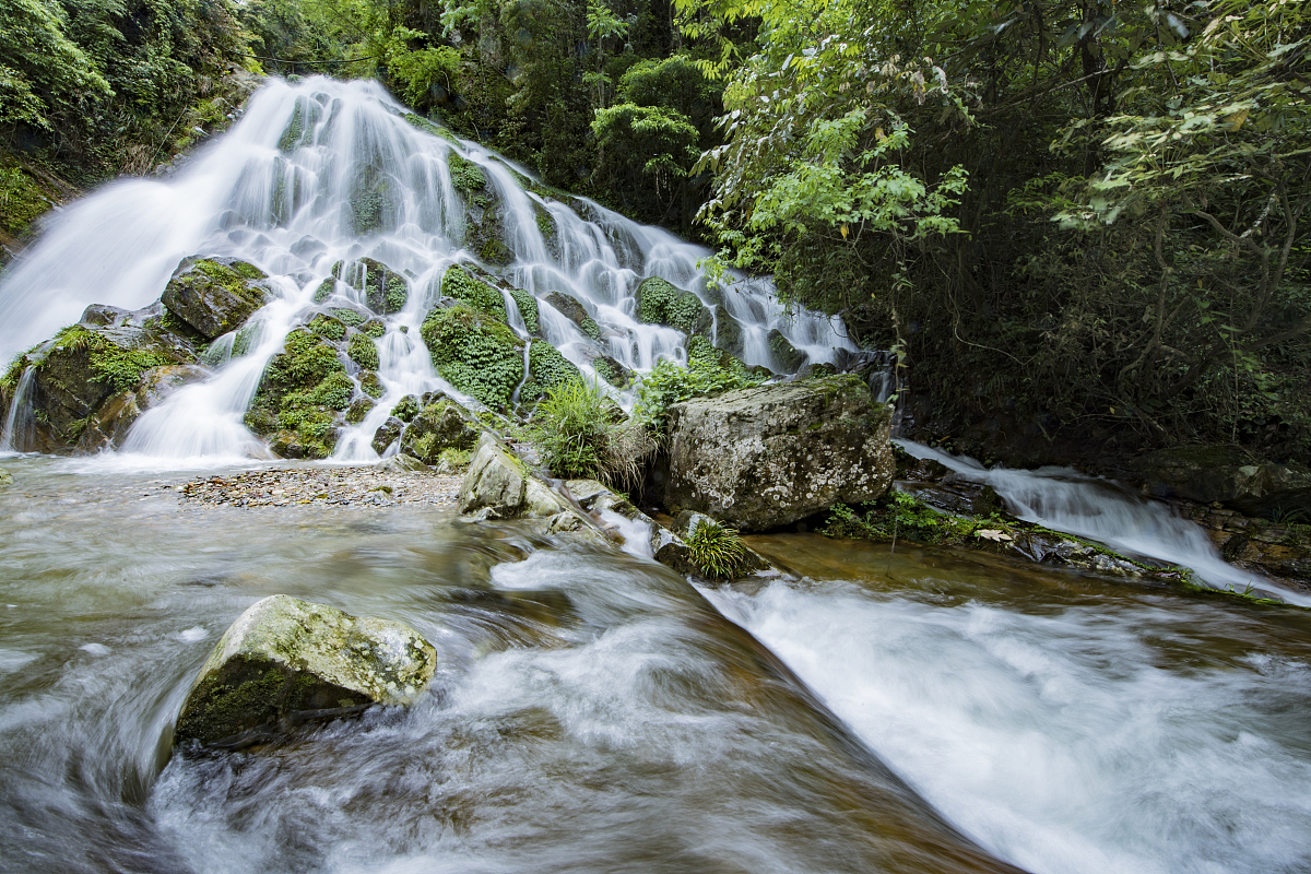 百钱买百鸡问题是这样的。一只公鸡值五钱一只母鸡值三钱三只小鸡值一钱。用一百钱买一百只鸡问公鸡、母鸡和小鸡各有多少只？使用 C++ 编程