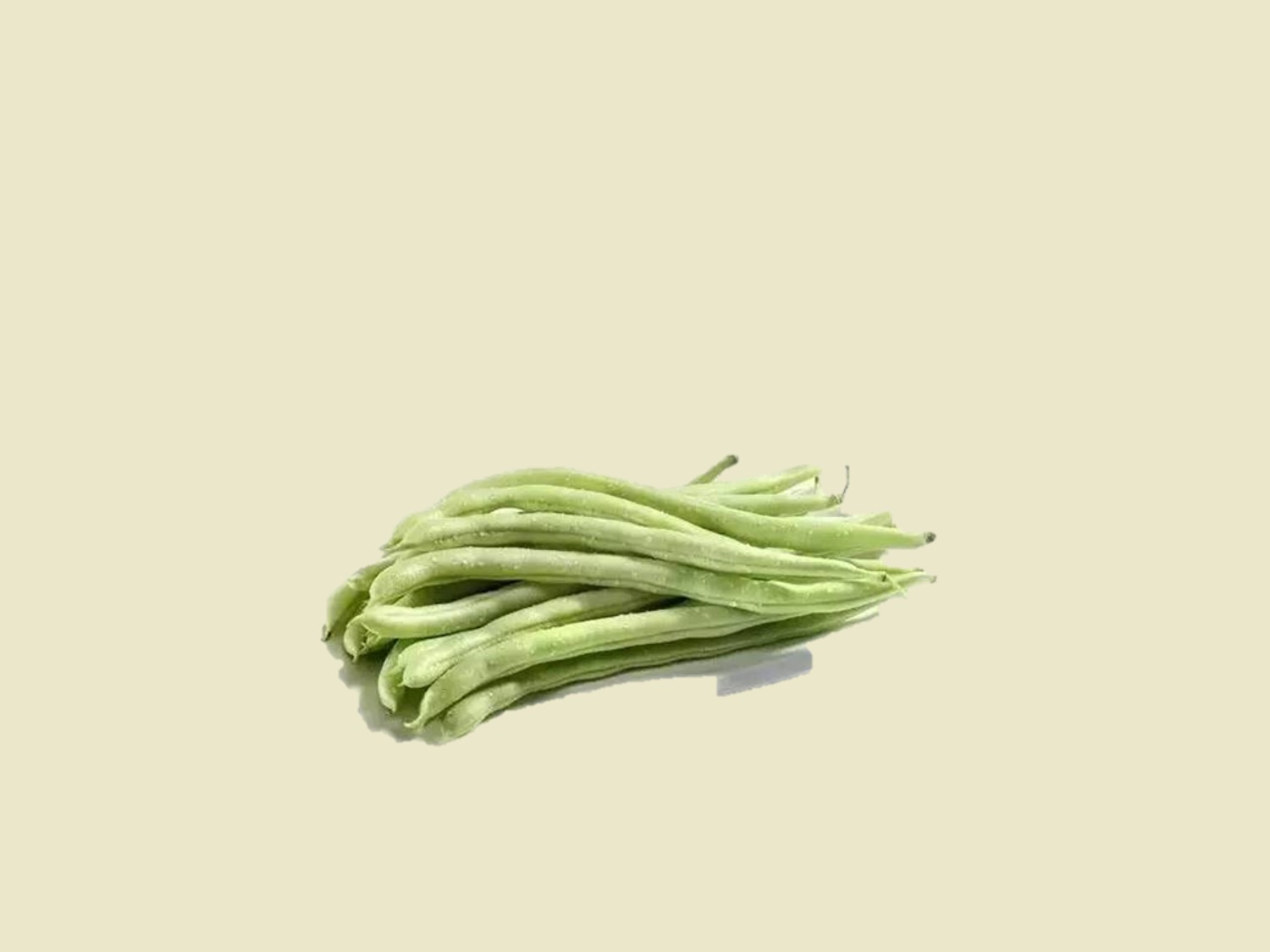 菜豆:是豆科,菜豆属一年生、缠绕或近直立草本植物