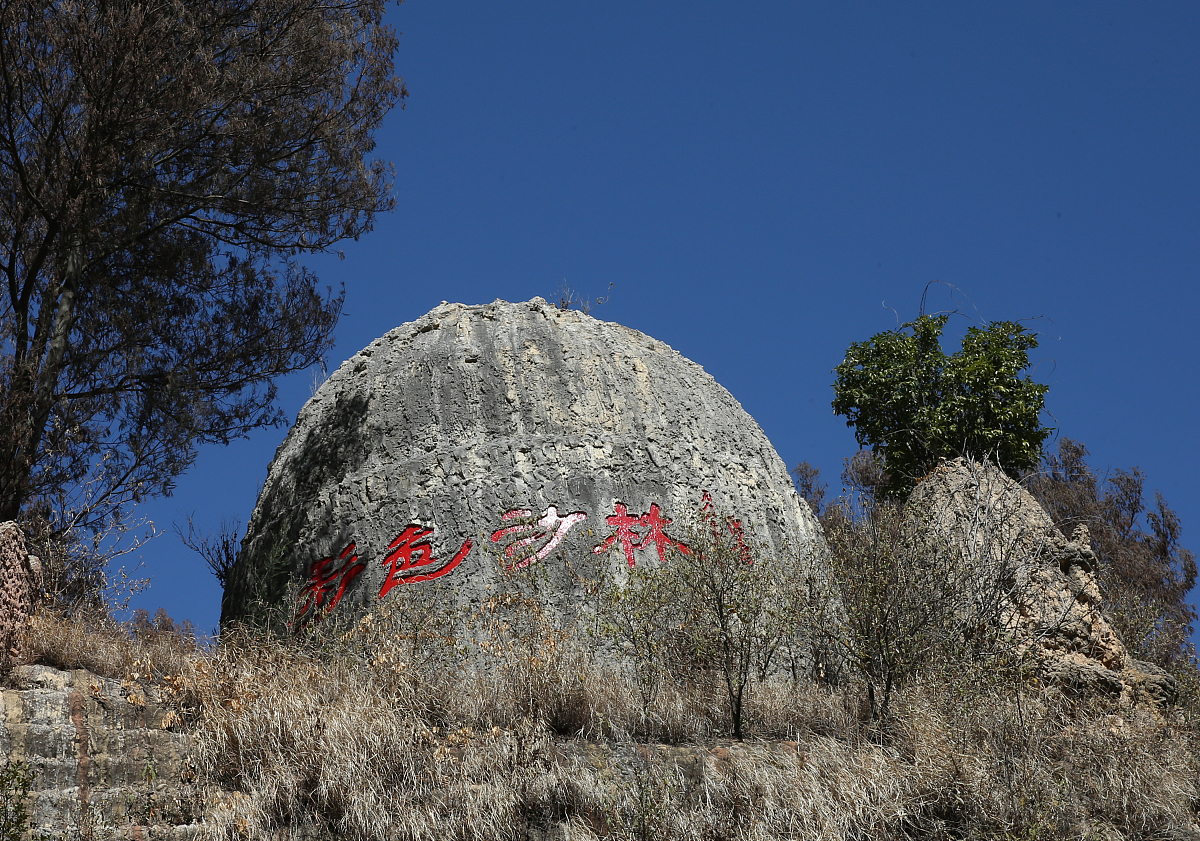 基于小程序的陆良彩色沙林服务平台设计与实现论文提纲