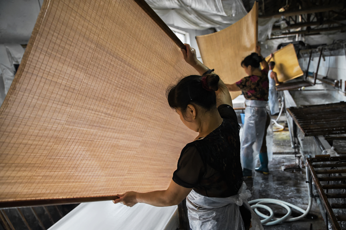 制浆造纸工艺专业发展前景如何