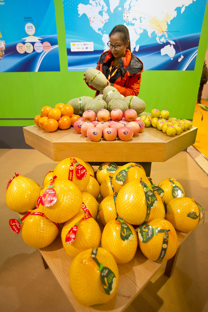 百色田东芒果文化节：如何突破联动瓶颈，释放旅游潜力？