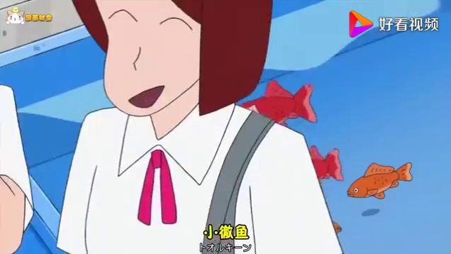 「新之助一家人」之妮妮被喂了一脸的狗粮